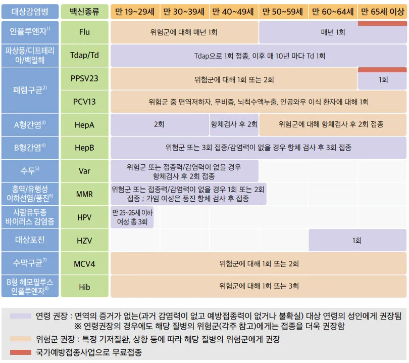 연령별 표준예방접종